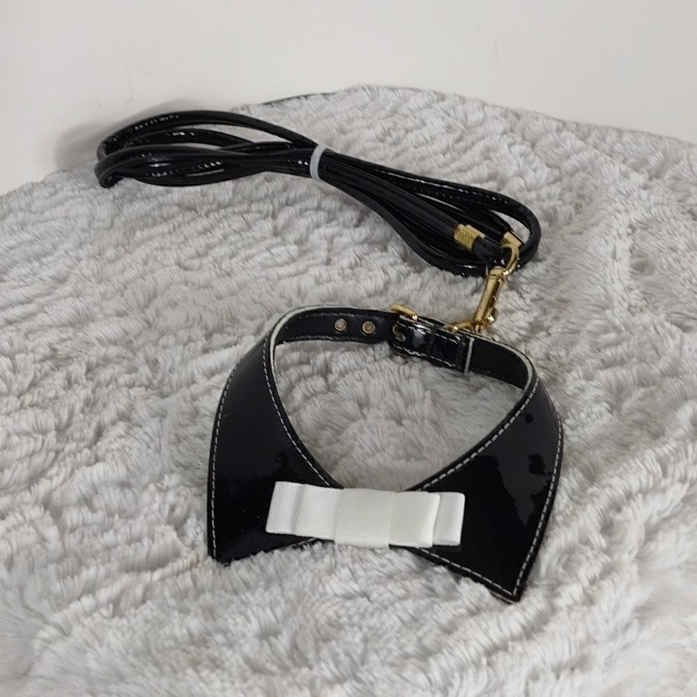 Dog Collar & Leash 12